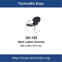 UC-123 Black Leather Armhair